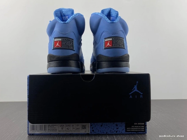 UNC Air 5 DV1310-401 Jordan 0818